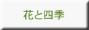  笹倉鉄平ちいさな絵画館の花と四季