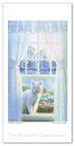 笹倉鉄平ロングポストカード「白い猫のいる窓辺」